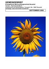 Gemeindebrieftitel 2008-09